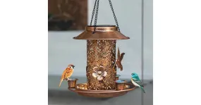Mangeoire à oiseaux à suspendre