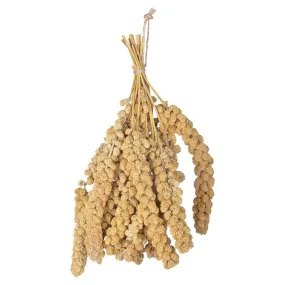 Millet pour oiseaux 400 gr
